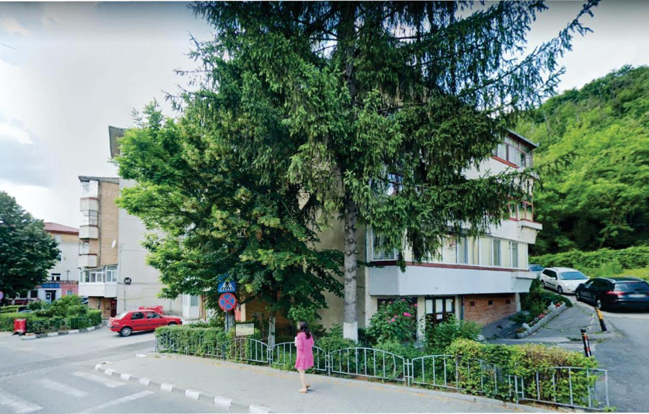 Vero Apartament Central Rm Valcea Lejlighed Râmnicu Vâlcea Eksteriør billede